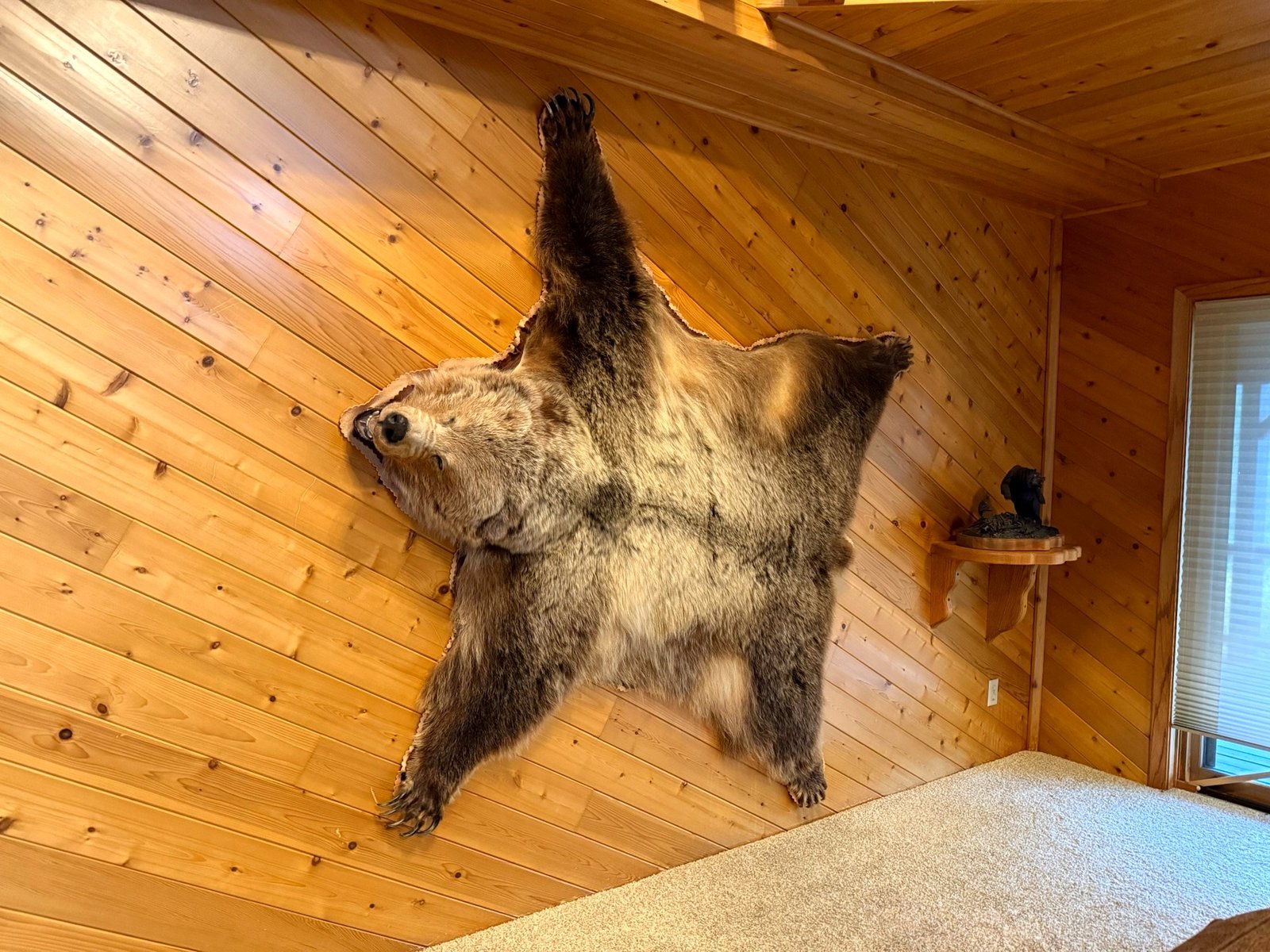 Grizzly bear sighting near Eagle's Bluff estate — Montana wildlife on Flathead Lake