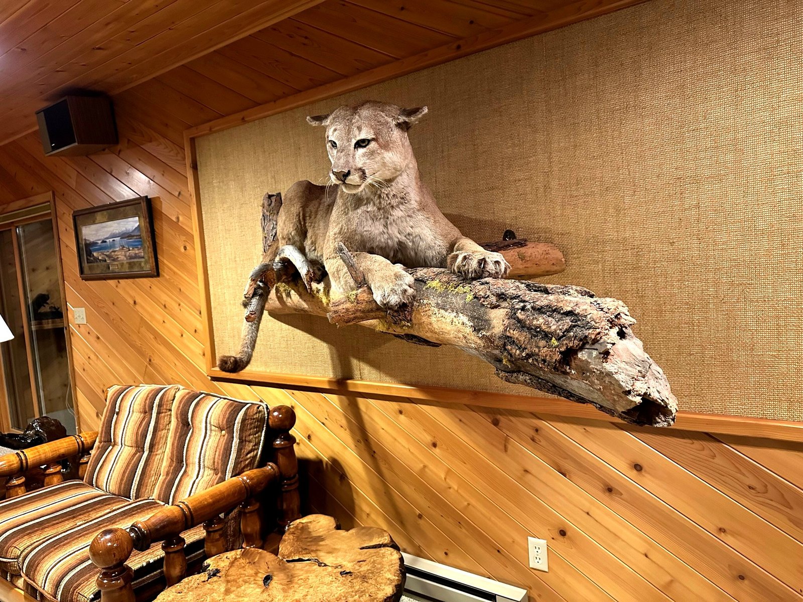 Lower level living room and gathering space in Eagle's Bluff Main House