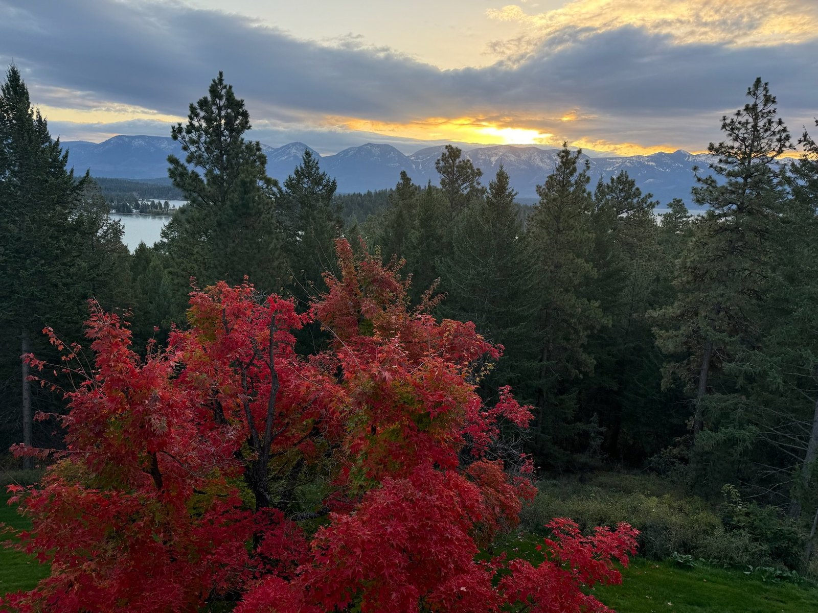 Manicured grounds of Eagle's Bluff luxury estate near Polson, Montana
